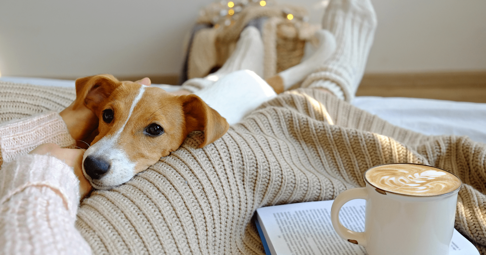 A Dog's Point of View Why Does My Dog Sit on My Feet?